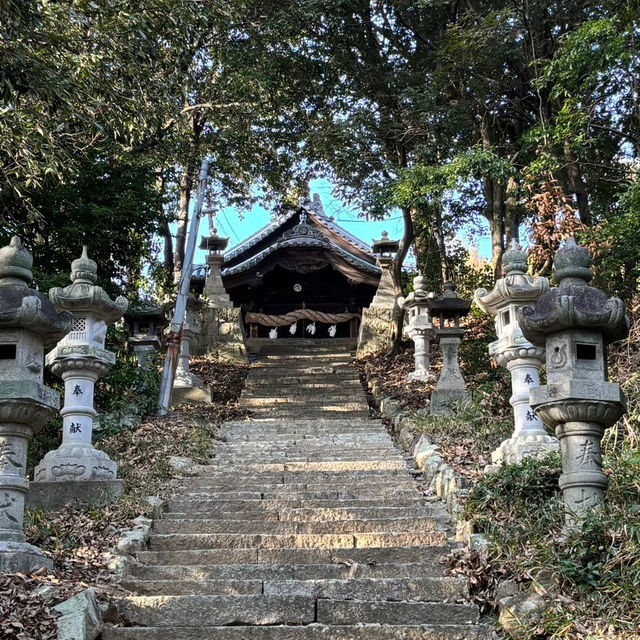 🇯🇵【愛媛県】松山市にある高家八幡神社⛩️！