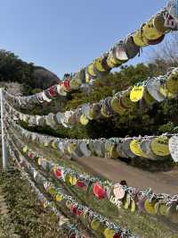 Just returned from an unforgettable spring trip to Japan!