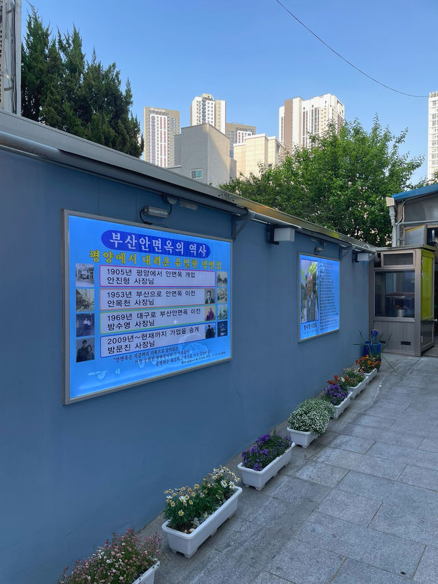 대구 원조 평양냉면 맛집은 여기로!