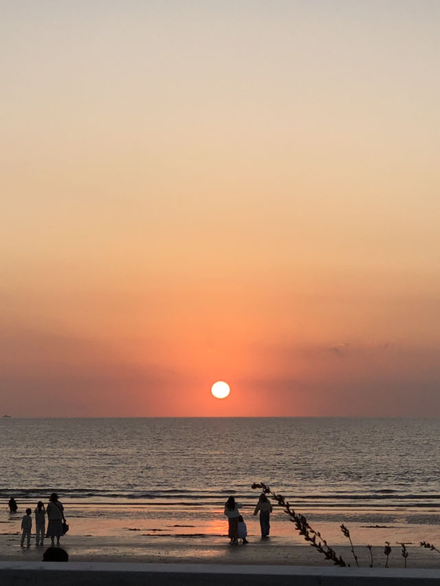 🌅 태안에서 보내는 하루 – 청포대 갯벌, 서해 노을, 그리고 간장게장 화해당
