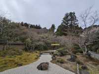 日本三景-松島（遊船+牡蠣可樂餅、烤扇貝、烤魚板）、圓通院、三慧殿