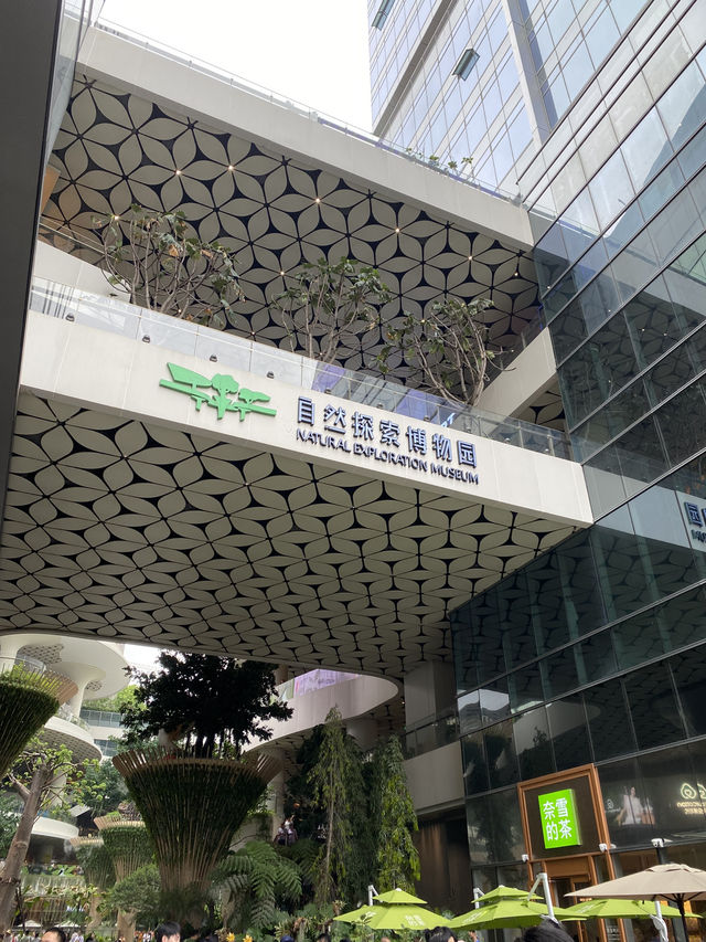 見過牠們嗎？牠們就在「巨型黑面琵鷺」所處的板田萬科廣場啊！
