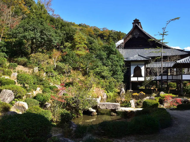 🍂 Secret Zen & Matcha Breaks: A Morning at Saifukuji Temple 🍂  
