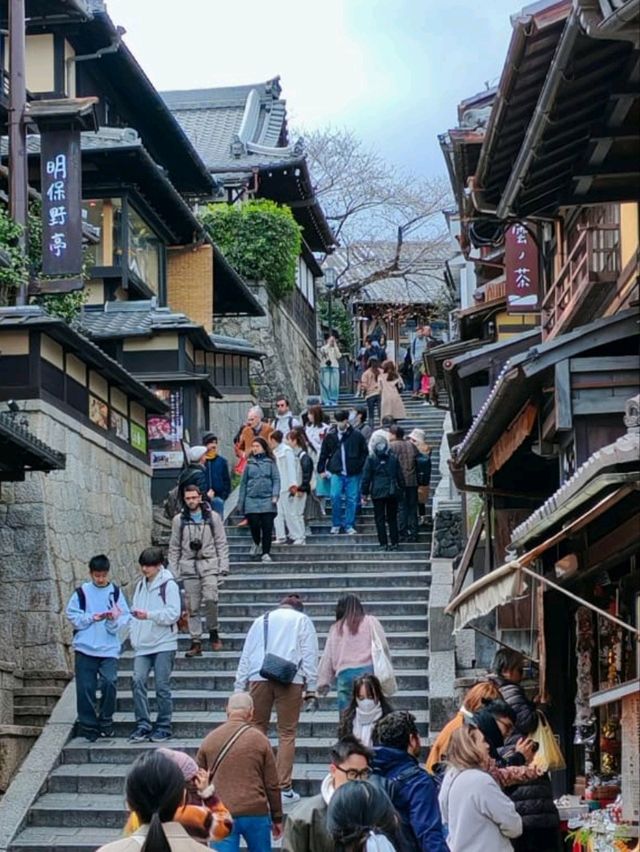 #古都的樱花之韵 #日本京都