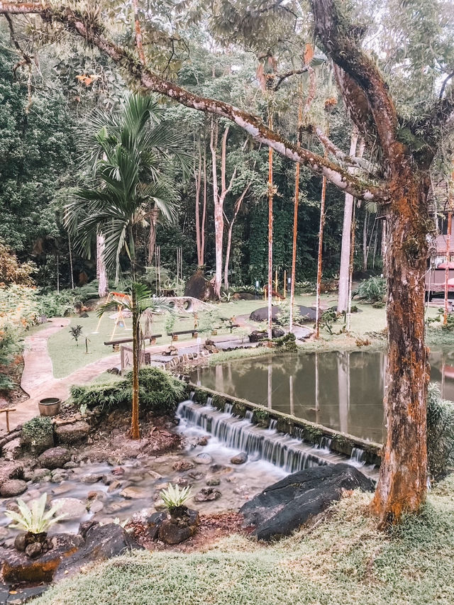Nature's Therapy 🌿🌱🌳