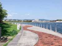 福岡海濱公園賞櫻---Minato 100 Nen Parkみなと100年公園