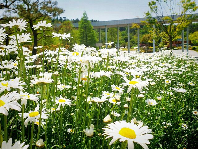 모든 순간이 초록 🌱순천만국가정원