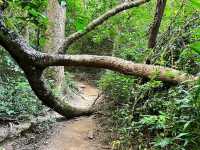 เขาหลวงสุโขทัย อุทยานแห่งชาติรามคำแหง