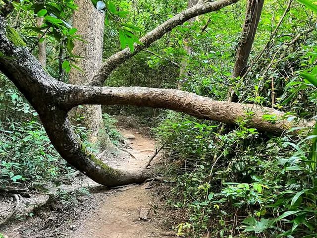 เขาหลวงสุโขทัย อุทยานแห่งชาติรามคำแหง