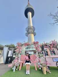 Chasing Sakura at N Seoul Tower