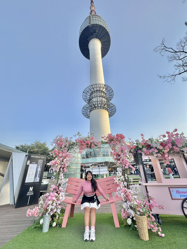 Chasing Sakura at N Seoul Tower