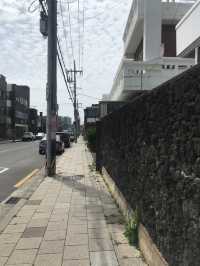 뚜벅이의 제주 혼자여행 마지막 날 🐳