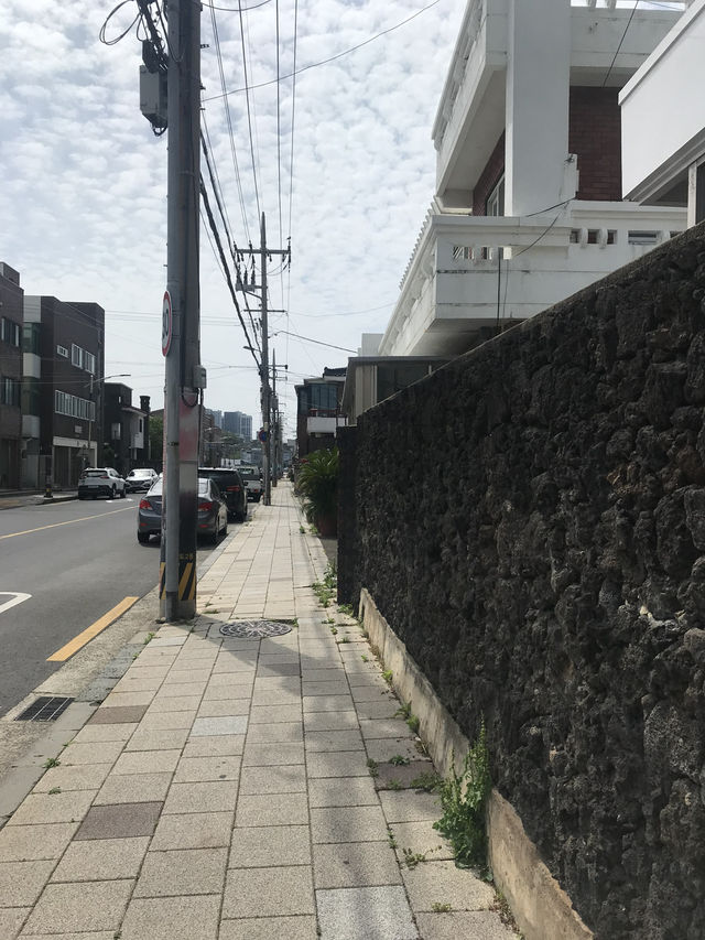 뚜벅이의 제주 혼자여행 마지막 날 🐳