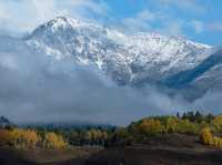 Xinjiang – A Hidden Bloom in China’s Western Frontier