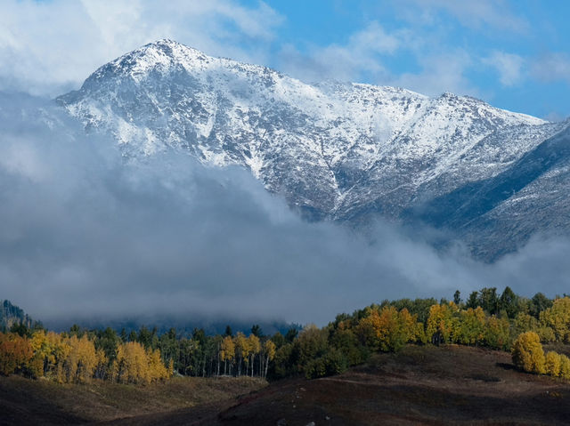 Xinjiang – A Hidden Bloom in China’s Western Frontier