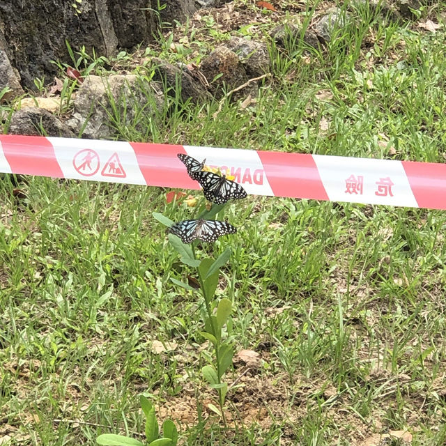 企嶺下老圍~堤壩