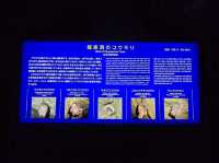 龍泉洞ブルー!!