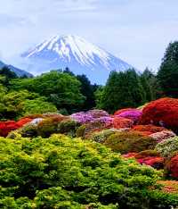 つつじと富士山の雄姿！山のホテルの大庭園　