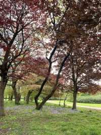Alexandra Park