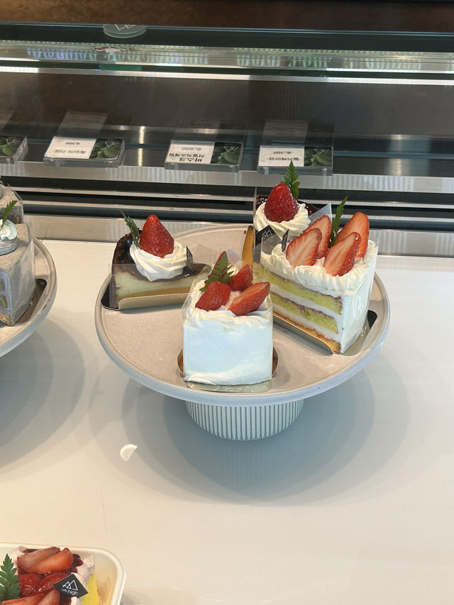 🌿 자연과 감성이 어우러진 힐링 공간, 카페 하이🤍