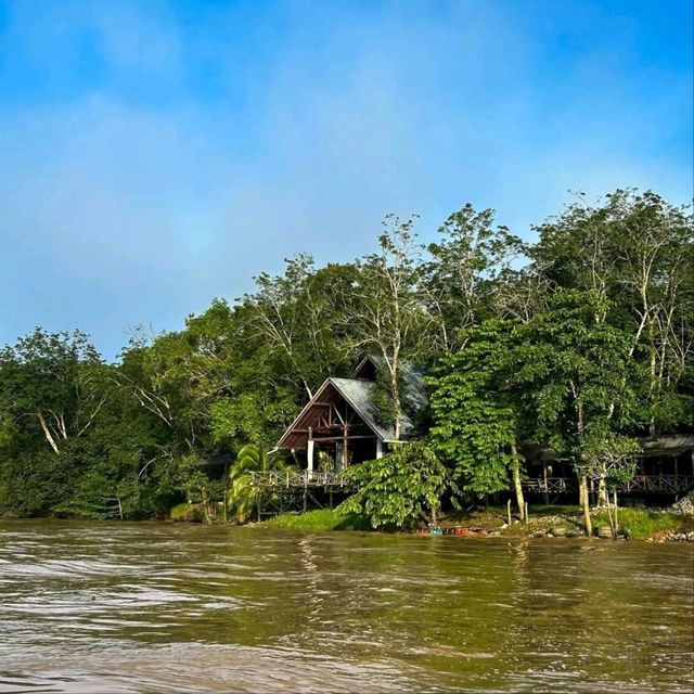 Cruisin’ the Kinabatangan River