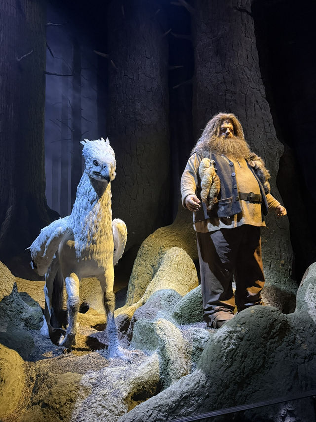 Into the Shadows: The Forbidden Forest