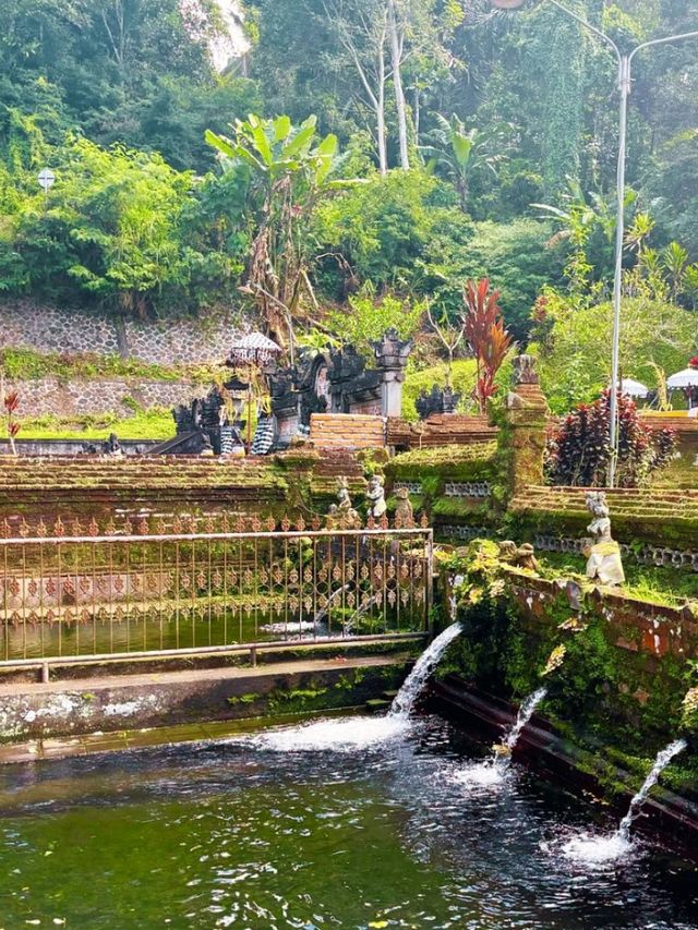🍃 Nature's Embrace – A Soulful Stay in the Heart of Ubud