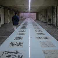 Calligraphic Abstraction