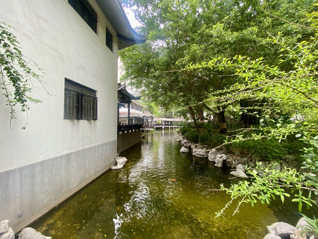德華公園深度遊🌟 鬧市中的後花園🌷⛲️
