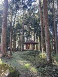 alishan national park