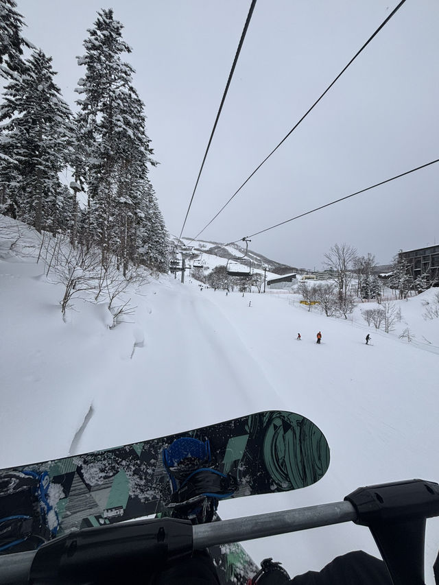 POWDER SNOW ❄️ 🏂