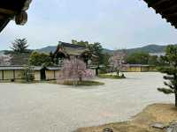 Arashiyama Bamboo Grove – A Serene Escape in Kyoto