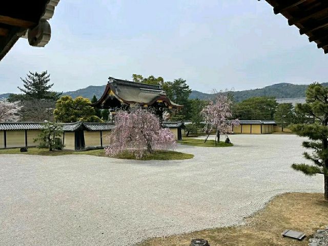 Arashiyama Bamboo Grove – A Serene Escape in Kyoto