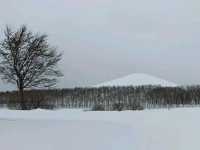 Moerenuma Park – Where Art Meets Nature in Sapporo