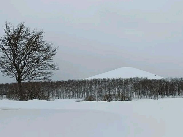 Moerenuma Park – Where Art Meets Nature in Sapporo