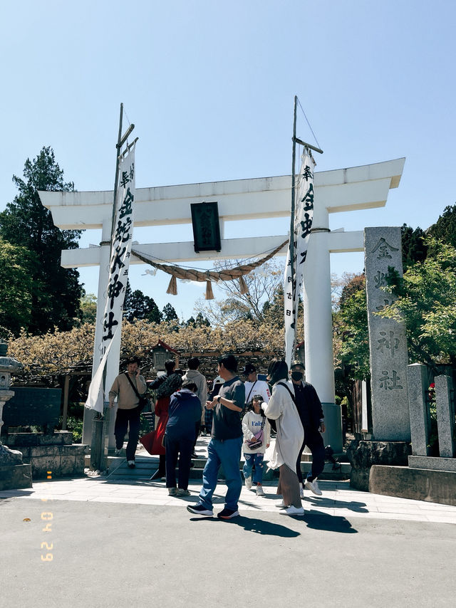 來財！來！來金蛇水神社！⛩️