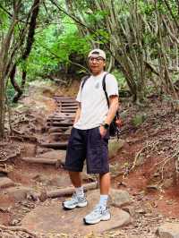 糸島龍貓森林