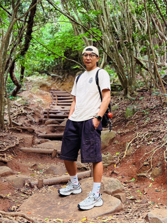 糸島龍貓森林