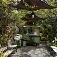 คาเฟ่สวนดอกไม้ Pranberry Field ปราณบุรี