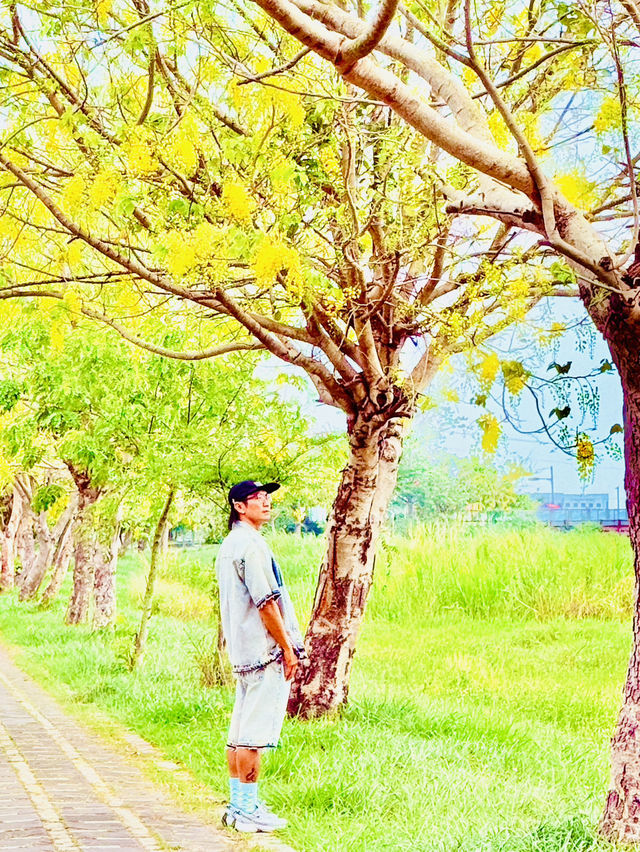 崙頂里河堤步道