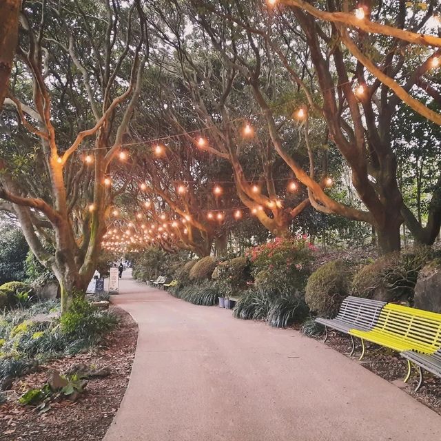 Camellia Hill – A Blooming Sanctuary on Jeju Island
