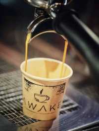 awake