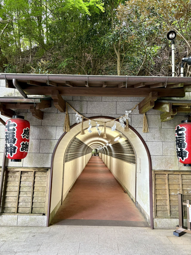 【福岡県】想像以上に大迫力！！福岡行くなら行ってみて！
