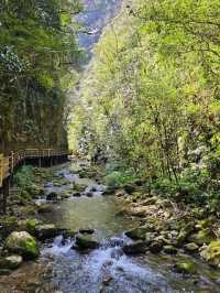 Exploring Zhangjiajie Grand Canyon