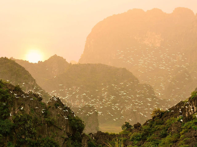 Thung Nham Eco-tourism Area - Ninh Binh.