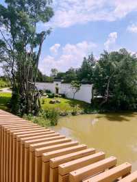 Chinese Garden 