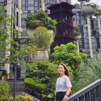 A day in Shanghai 🇨🇳