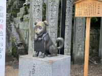 人生で1度は行きたい！1368段の階段の先に広がるパワースポット⛩🌿