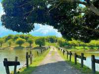 Gorgeous Lake Views & Great Food Just 40 Minutes from Kuala Lumpur