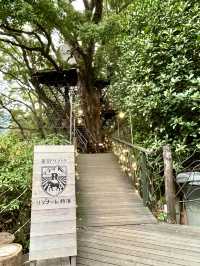 A Day of Pure Relaxation at Hoshino Resorts RISONARE Atami